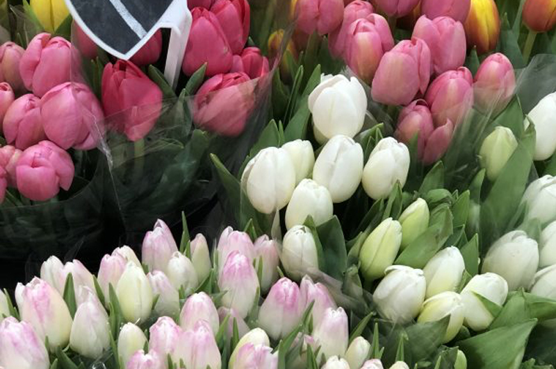 Preston Market Flowers